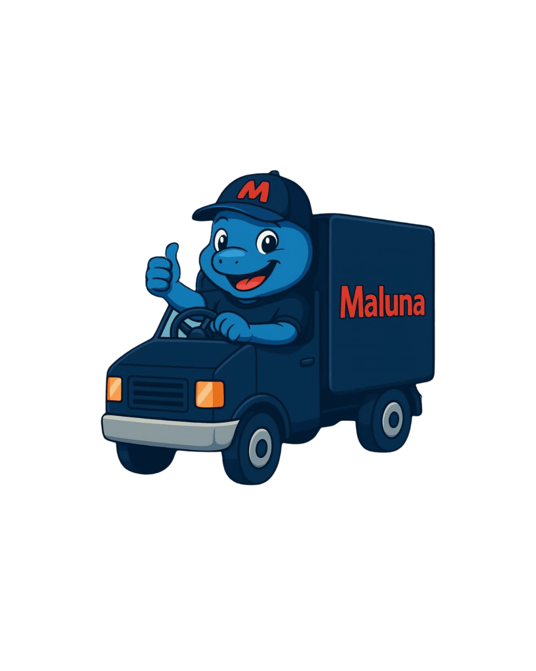 Entrega rápida e eficiente — Maluna produtos para piscina